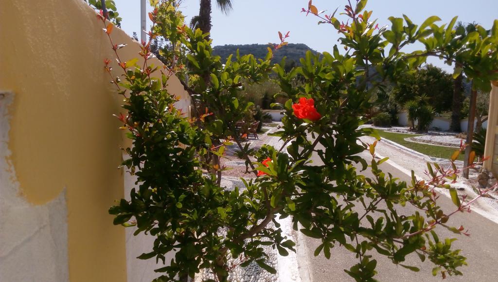 Mosaic Gardens Apartment ฟาลิรากี ภายนอก รูปภาพ